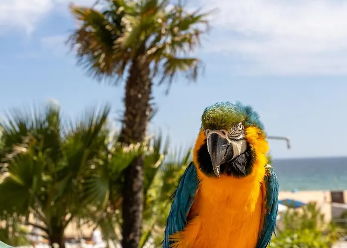 Algarve Casino Hotel Portimao